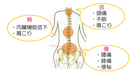 胸：内蔵機能低下、肩こり　首：頭痛、不眠、肩こり　腰：腰痛、膝痛、便秘